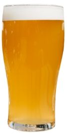 glass of pale ale